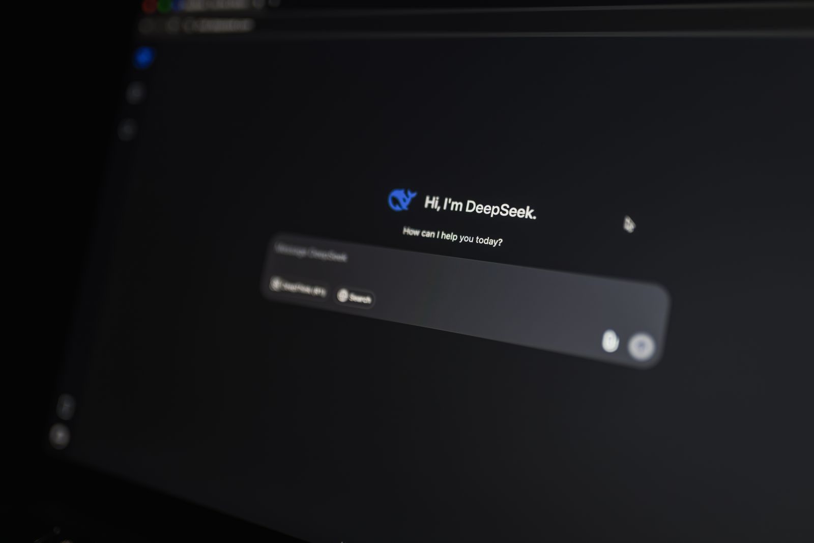 An AI interface answering a real question